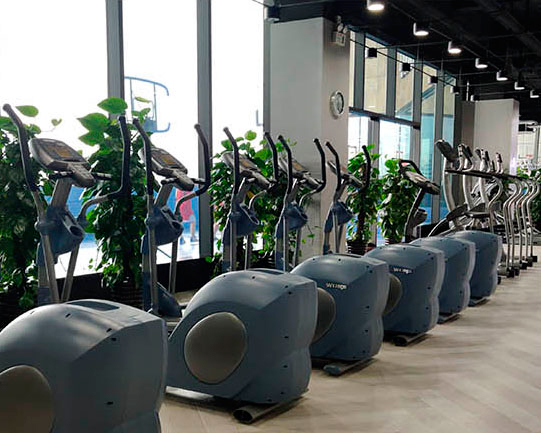 威爾金斯健身房