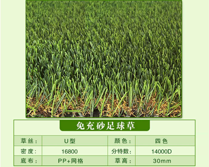 足球場（免填充足球草）