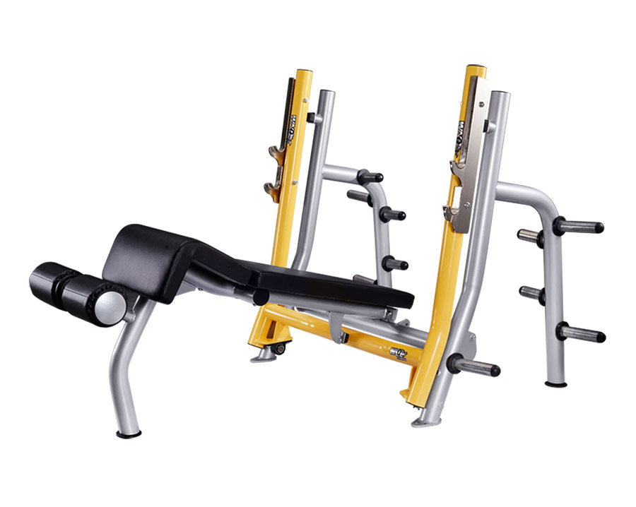 F1-A680 下斜舉重床